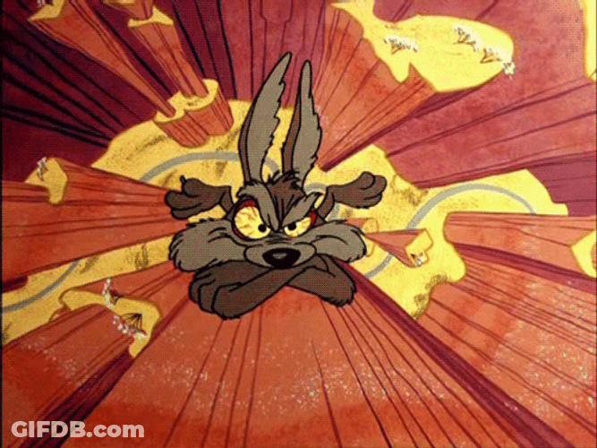 Wile E Coyote Crossed Arms Angry Falling GIF