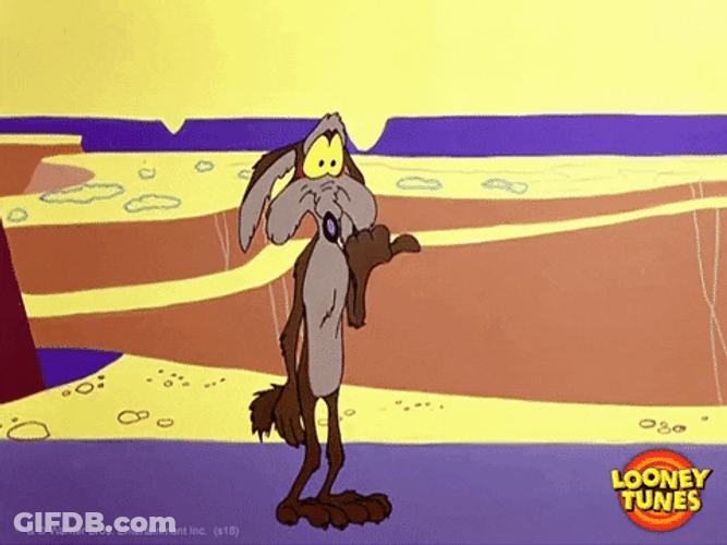 Wile E Coyote Egad GIF