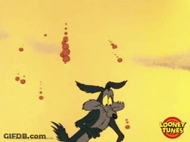 Wile E Coyote Falling Rocks GIF