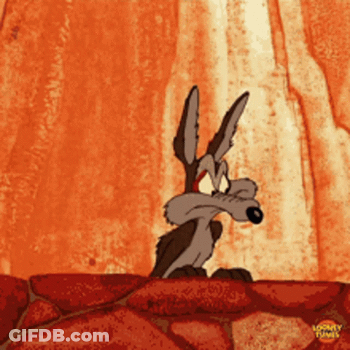 Wile E Coyote From Looney Tunes Is Standing On A Rock GIF