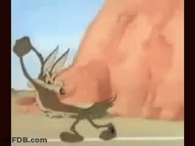Wile E Coyote Hitting Fake Road GIF