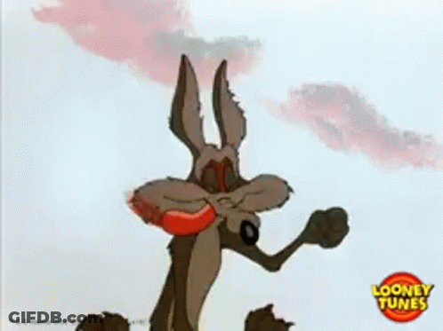 Wile E. Coyote Holding Boomerang In Mouth GIF