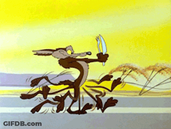 Wile E Coyote Hungry Chasing Road Runner GIF