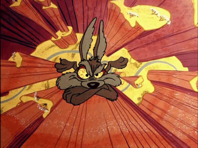 Wile E Coyote Mad Falling GIF
