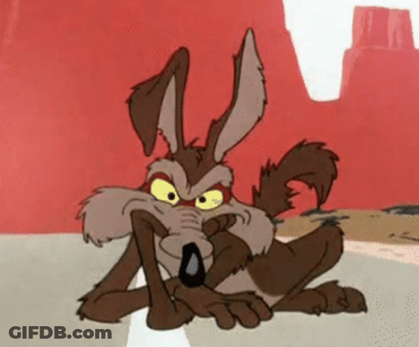 Wile E Coyote Raising Eyebrows GIF