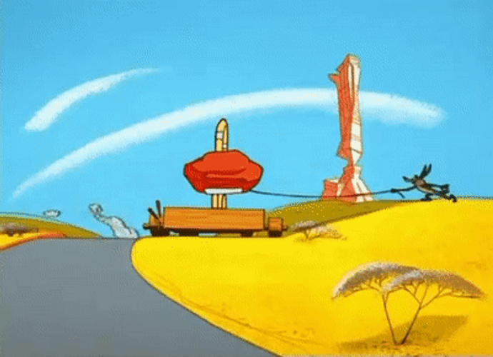 Wile E Coyote Road Runner Stone Trap Fail GIF