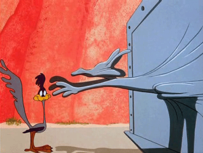 Wile E Coyote Road Runner Wall Hit GIF