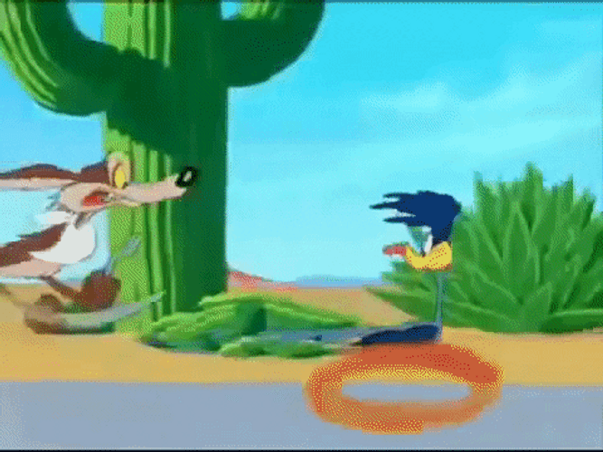Wile E Coyote Sad Chasing Road Runner GIF