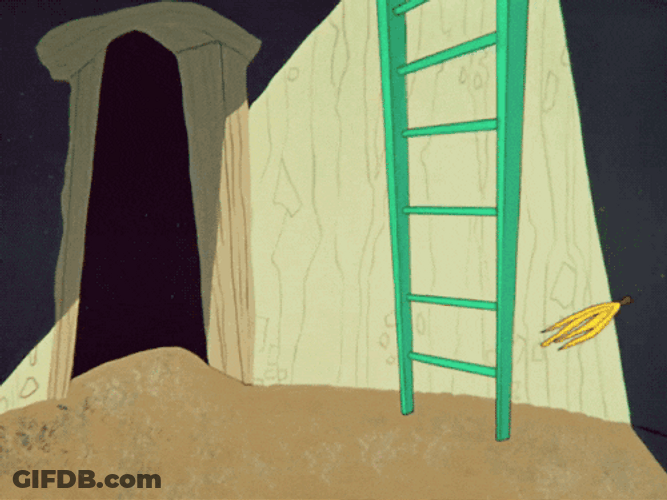 Wile E Coyote Slipping Banana Peel GIF