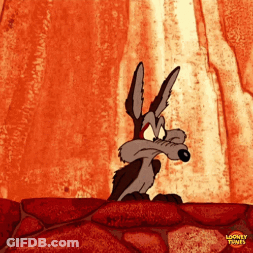 Wile E Coyote Standing On Rock GIF