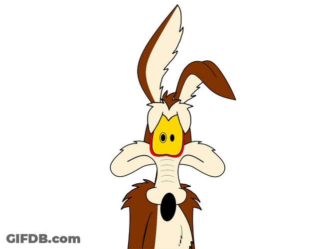 Wile E Coyote Staring Anxious Eyes GIF