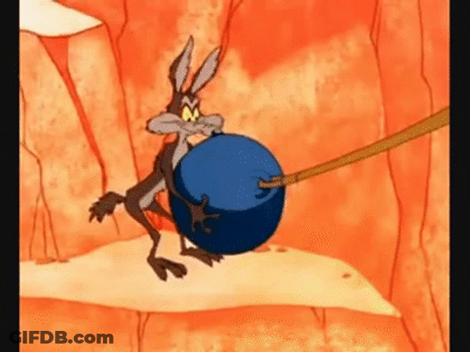 Wile E Coyote Tree Falling On Head GIF