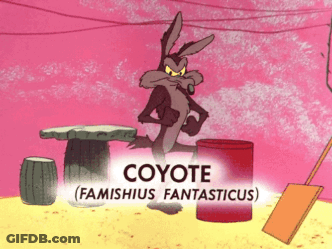 Wile E Coyote Tripped GIF