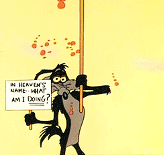 Wile E Coyote Umbrella Falling Rocks GIF