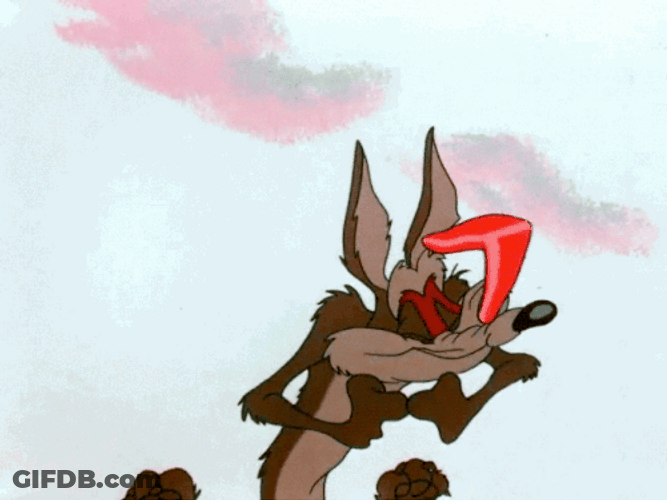 Wile E Coyote Yum Let's Go GIF