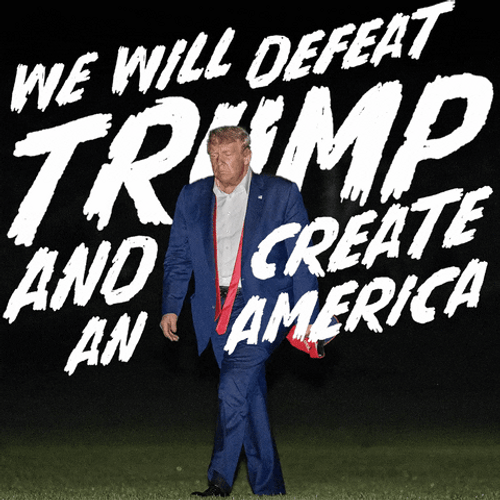 Will Defeat Trump 2024 Create America GIF