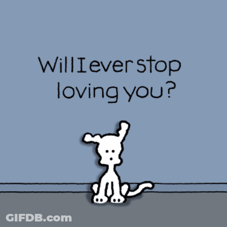 Will I Ever Stop Loving You Chippy Dog GIF