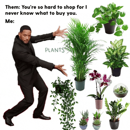 Will Smith Gardening GIF