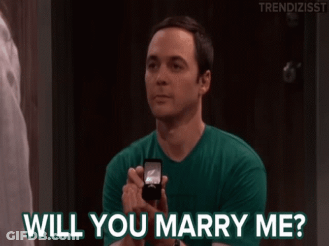 Will You Marry Me Baby GIF
