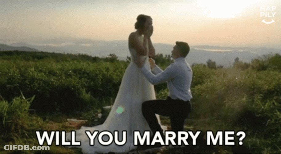 Will You Marry Me Darling GIF