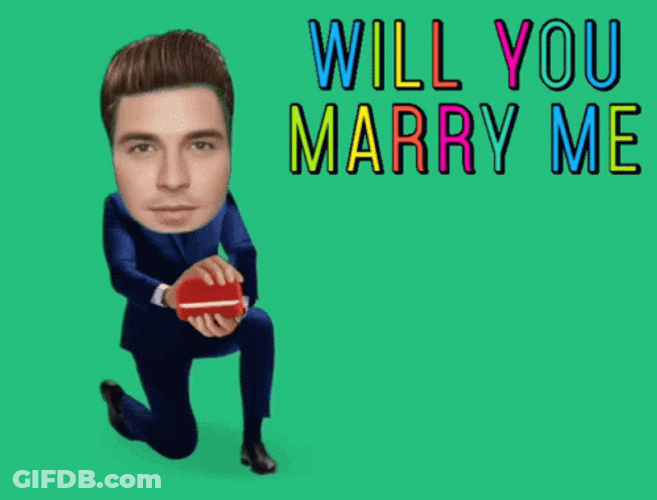Will You Marry Me My Princess GIF
