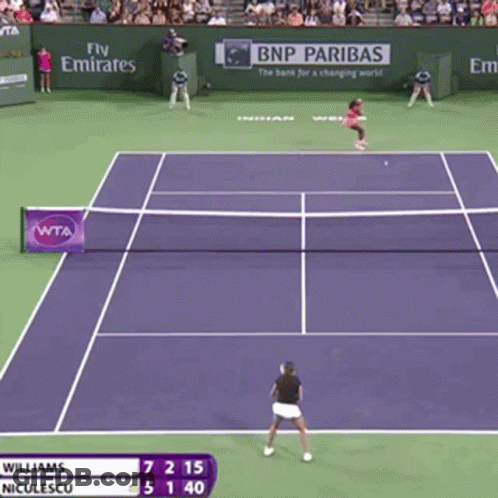 Williams And Niculescu Are Playing Tennis In Front Of A Banner For Bnp Paribas GIF