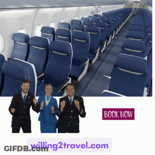 Willing2Travel.com Advertisement With Plane GIF