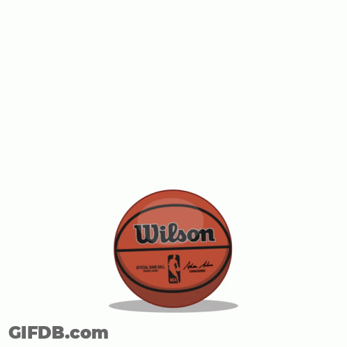 Wilson Basketball Floating GIF