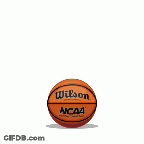 Wilson NCAA Evo NXT Game Ball GIF