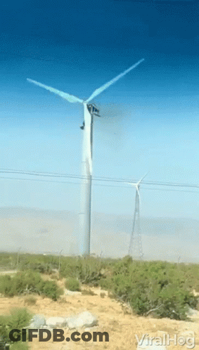 Wind Turbine With Viral Hog GIF
