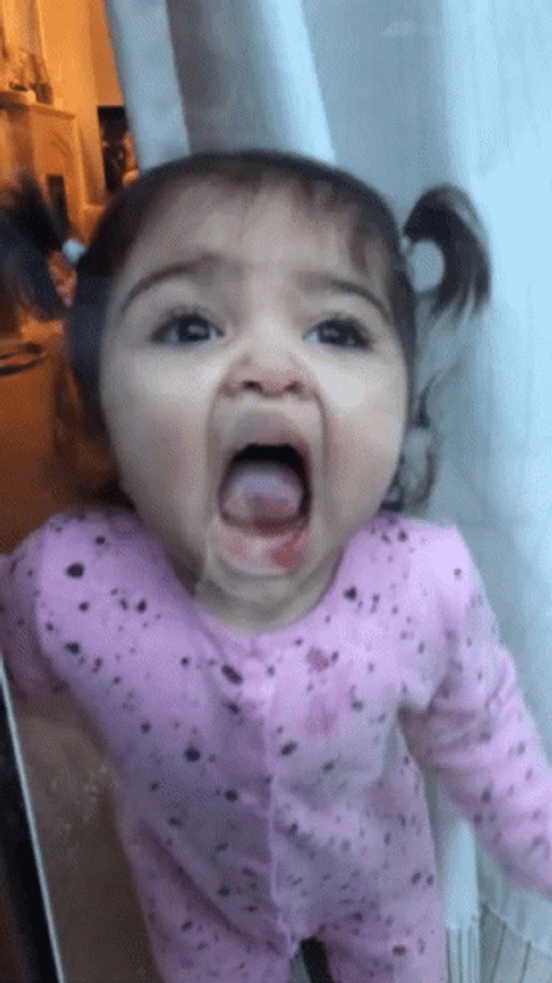 Window Licker Baby Girl GIF