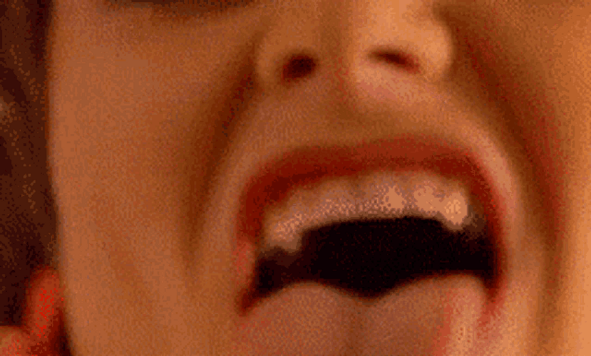 Window Licker Closer Look GIF