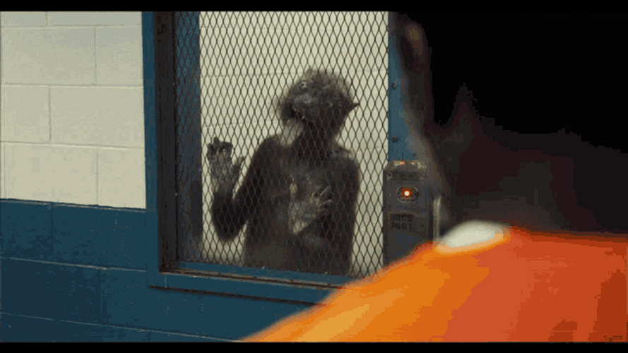 Window Licker Saucelessss Soheb GIF