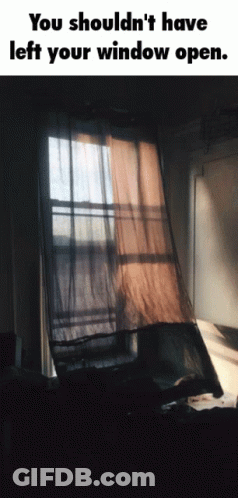Window Open Left Window Open GIF