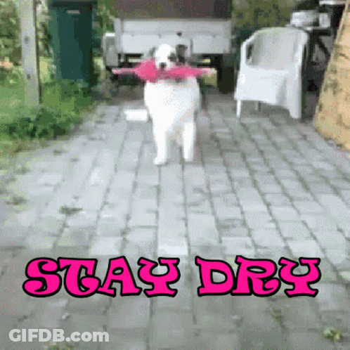 Window Painting With Bottle And Glass Of Water GIF