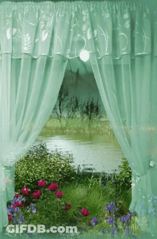 Window View Green Wall Curtain GIF
