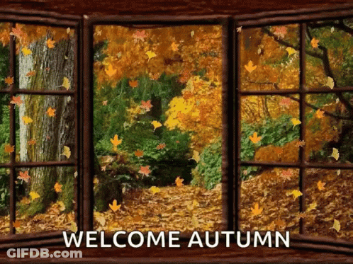 Window With Autumn Leaves Falling Out GIF