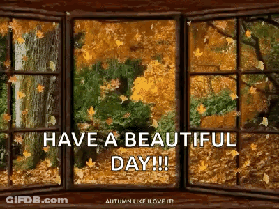 Window With Autumn Leaves Falling Out GIF