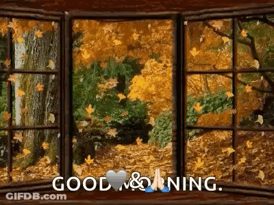 Window With Autumn Leaves Saying Good Morning GIF