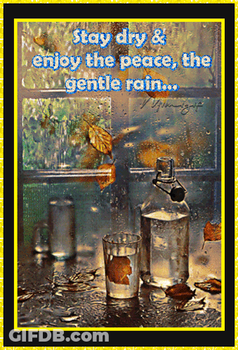 Window With Bottle Of Water And Glass Of Water GIF