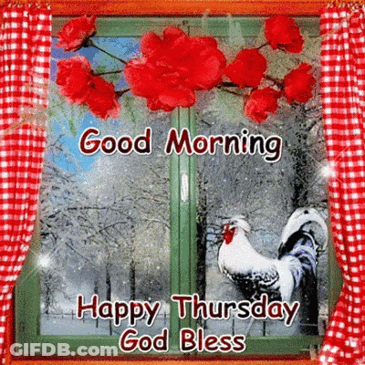 Window With Red Flowers And Rooster Good Morning Happy Thursday God Bless GIF
