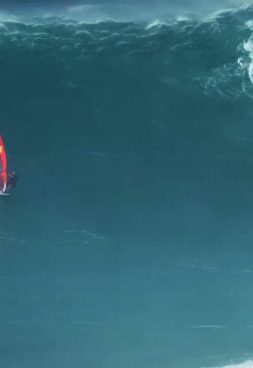 Windsurfing Wipes Out GIF