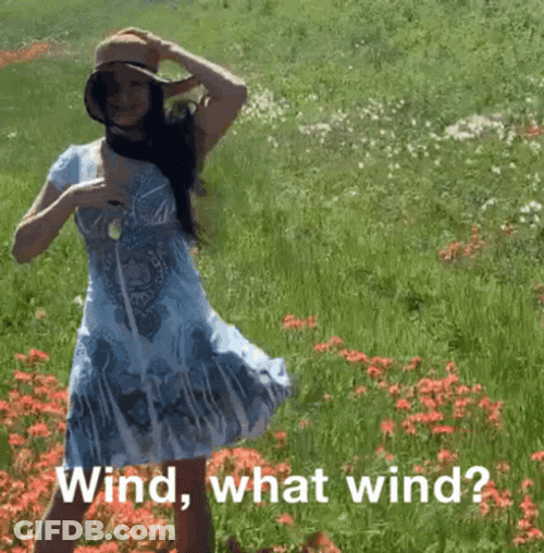 Windy In Flower Field GIF