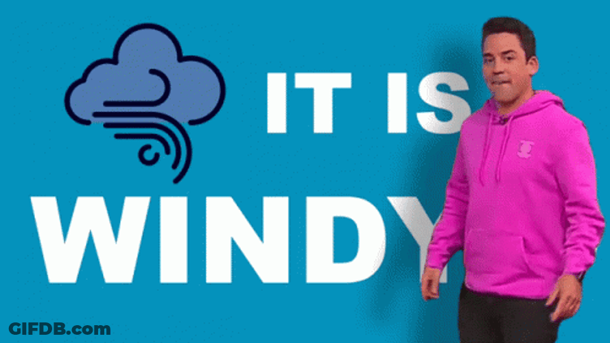 Windy Jesse Rubinoff GIF