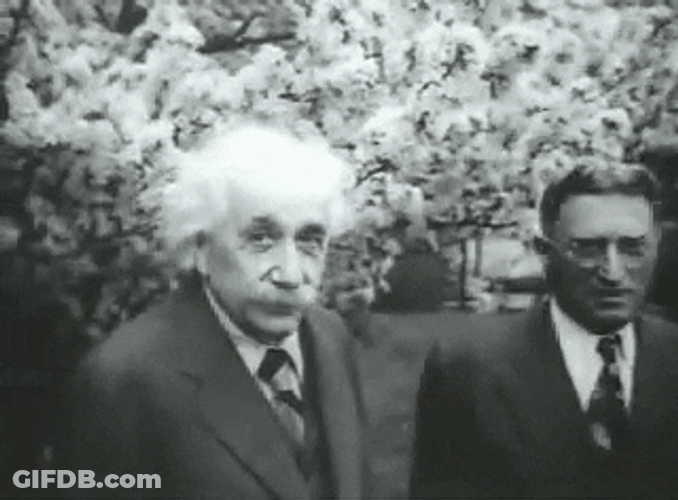 Windy Outside Albert Einstein GIF