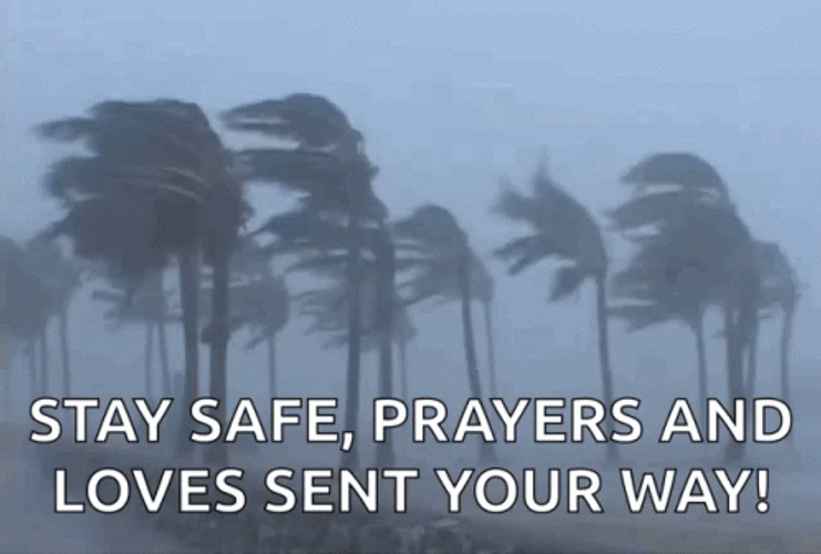 Windy Trees Prayers And Loves Sent Away Hurricane Meme GIF