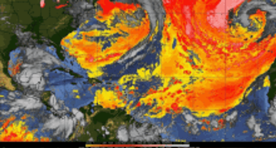 Windy Weather Forecast Map GIF