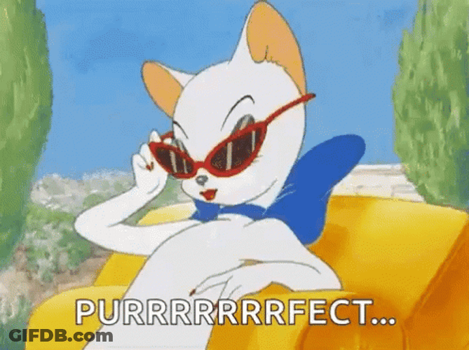 Wink Cat Purr Perfect GIF