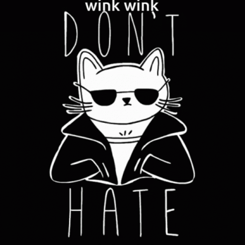 Wink Wink Don't Hate Cat GIF