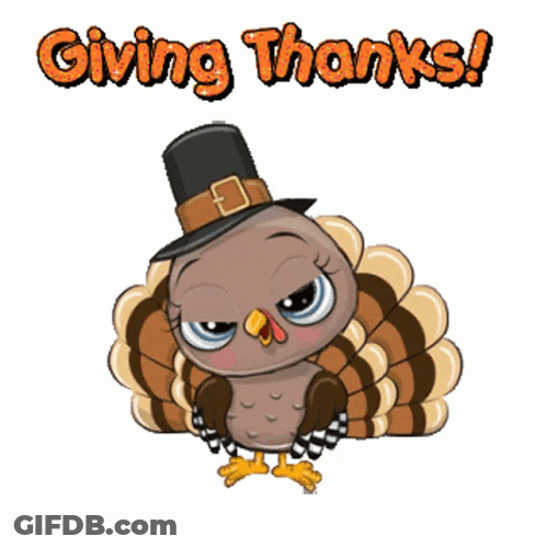 Winking Good Morning Turkey Giving Thanks Message GIF